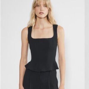 NWT Wilfred Aritzia Rhodora Bustier Top